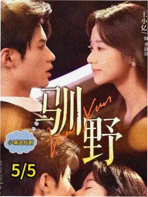双生回声 完结剧集海报